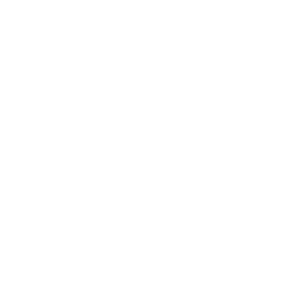 Errors Seeds Silver